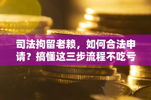 武汉司法拘留老赖，如何合法申请？搞懂这三步流程不吃亏！