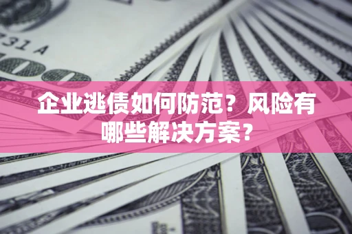 武汉企业逃债如何防范？风险有哪些解决方案？