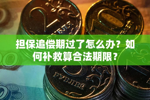 武汉担保追偿期过了怎么办？如何补救算合法期限？