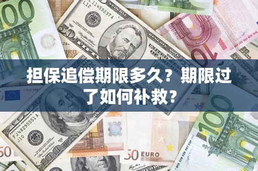 武汉担保追偿期限多久？期限过了如何补救？