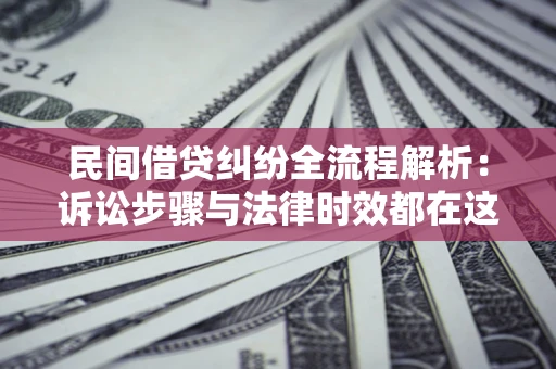 武汉民间借贷纠纷全流程解析：诉讼步骤与法律时效都在这儿了