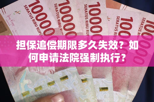 武汉担保追偿期限多久失效？如何申请法院强制执行？