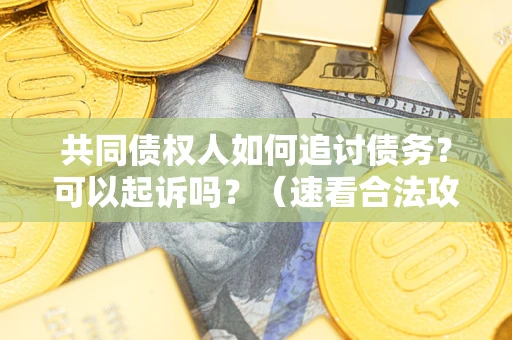 武汉共同债权人如何追讨债务？可以起诉吗？（速看合法攻略）