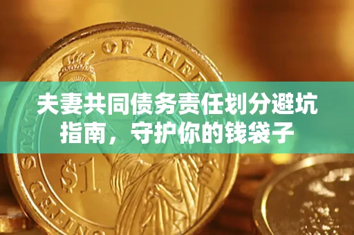 武汉夫妻共同债务责任划分避坑指南，守护你的钱袋子