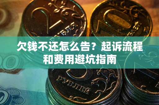 武汉欠钱不还怎么告？起诉流程和费用避坑指南