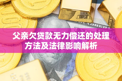武汉父亲欠贷款无力偿还的处理方法及法律影响解析