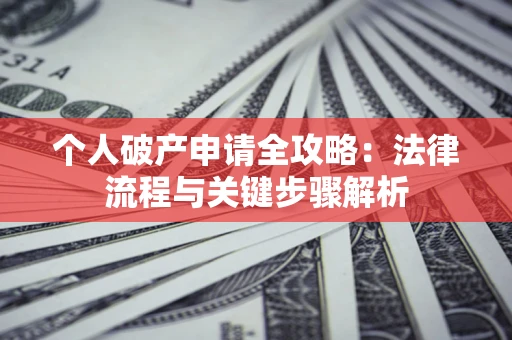 武汉个人破产申请全攻略：法律流程与关键步骤解析