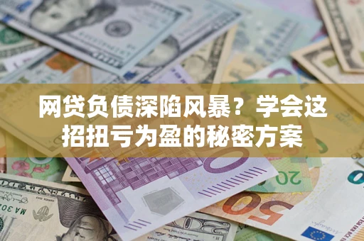 武汉网贷负债深陷风暴？学会这招扭亏为盈的秘密方案